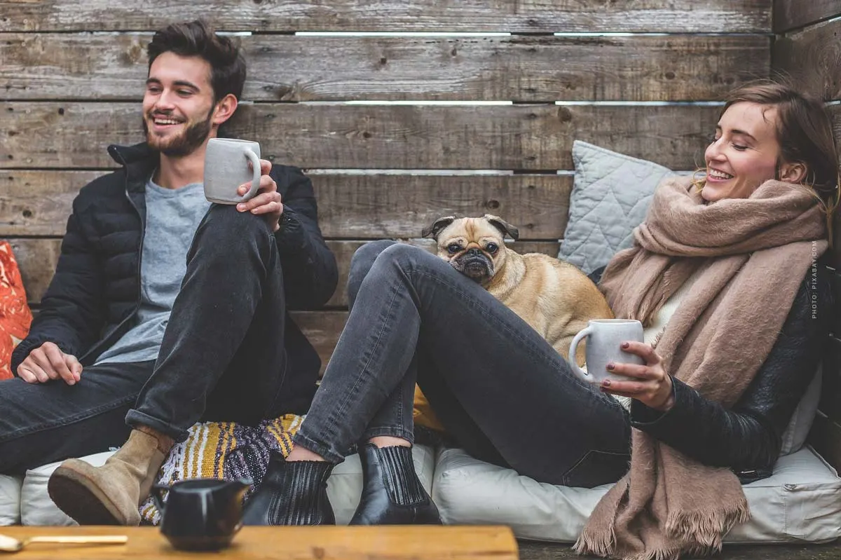 Vacances avec les animaux: Appartement de vacances, camping et mer avec chien, chat et compagnie