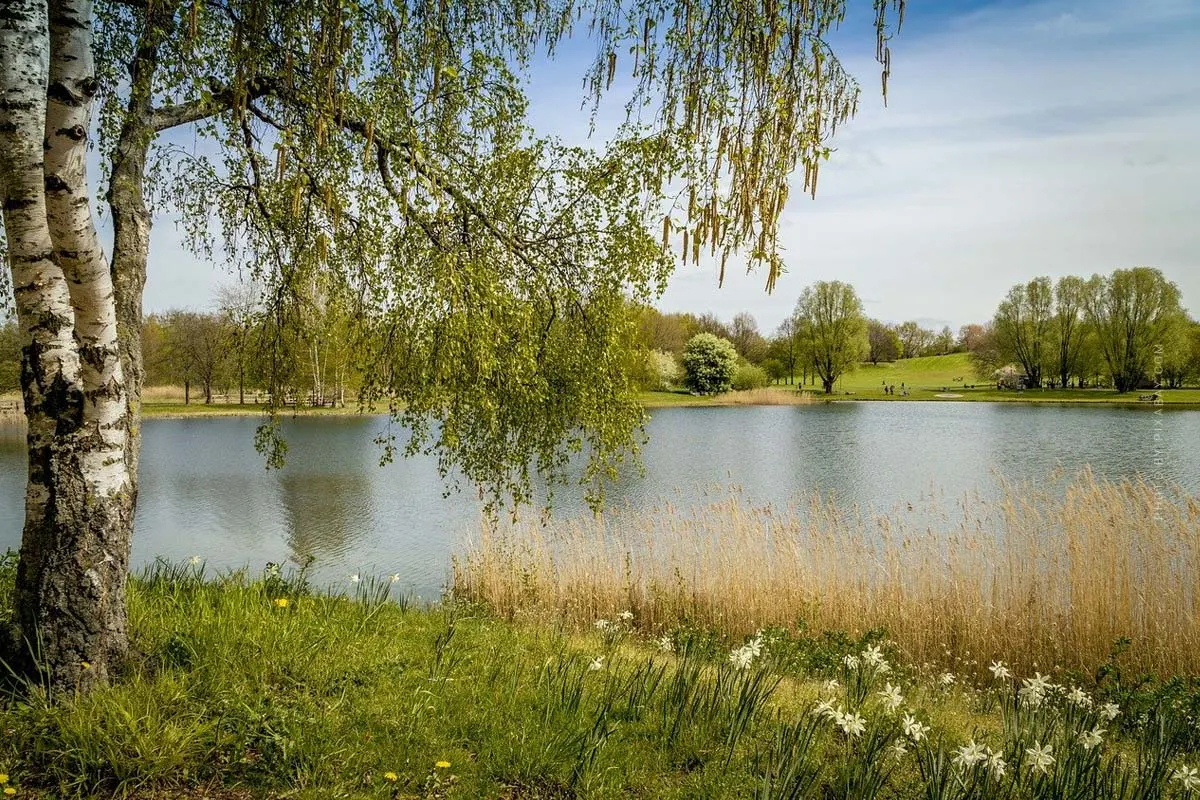Camping Berlin : Breitehorn, Krossinsee & Co. - La nature dans la grande ville