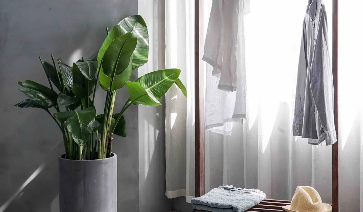 L'art de vivre minimaliste: des vêtements à la maison