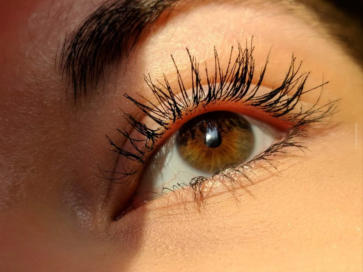 Faites vous-même votre lifting des cils à la maison : les étapes, le coût, la durée et les résultats avant et après.