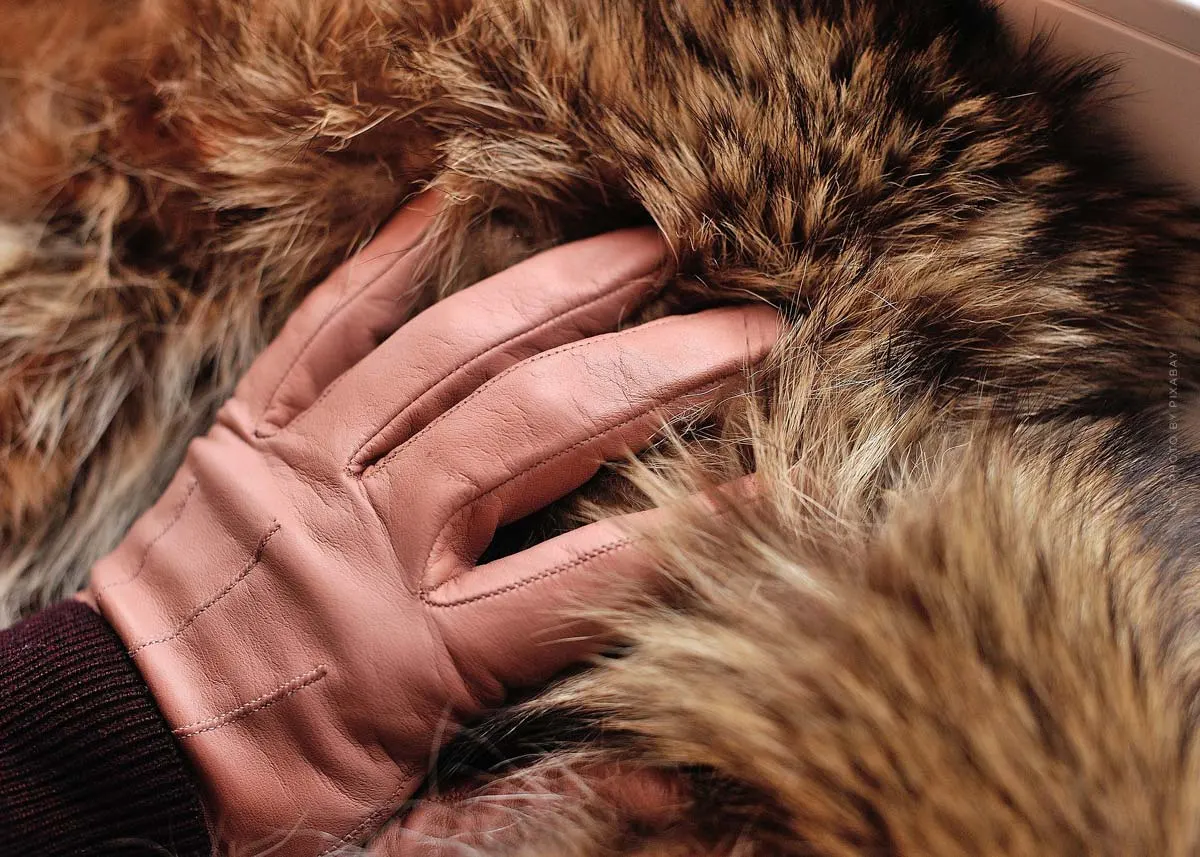 Marques de mode pour la fausse fourrure : Prada, Valentino & Zara