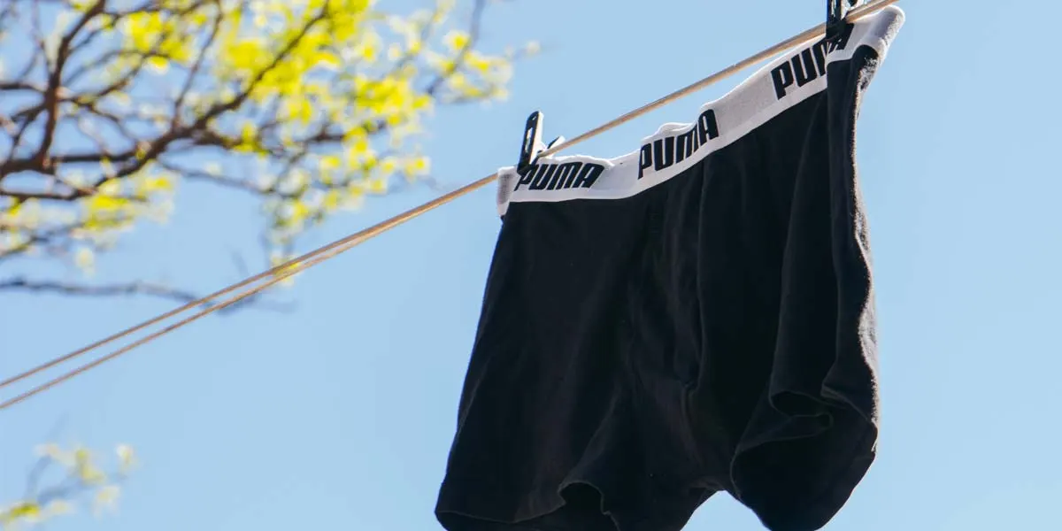 Aperçu des marques de boxers les plus populaires