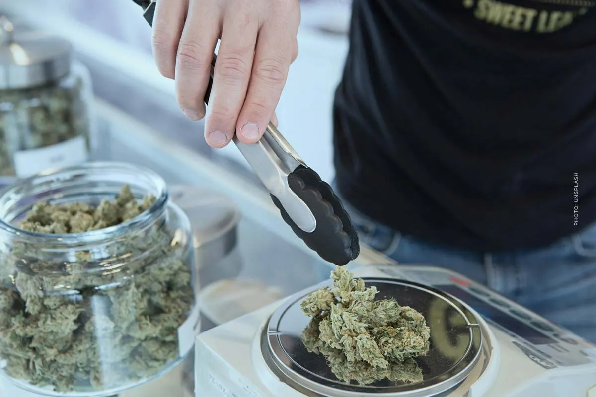 Cannabis sur ordonnance : acheter de la weed & de l'herbe avec une "ordonnance de cannabis" du médecin (médical)