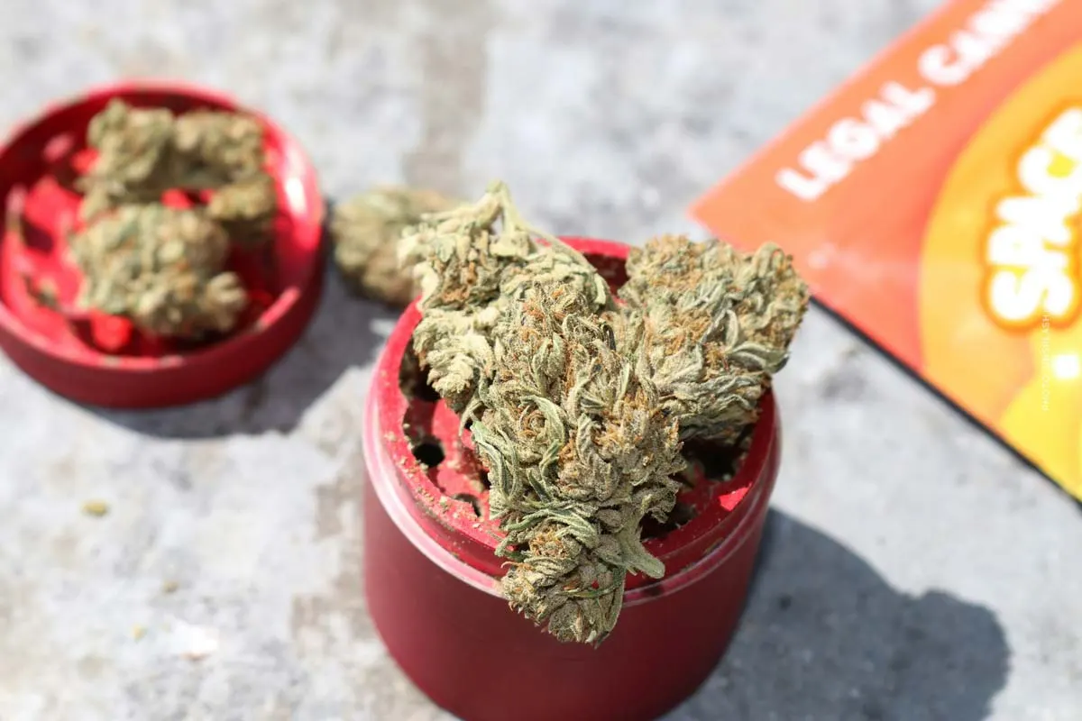 Cannabis vs cannabis médical : différence