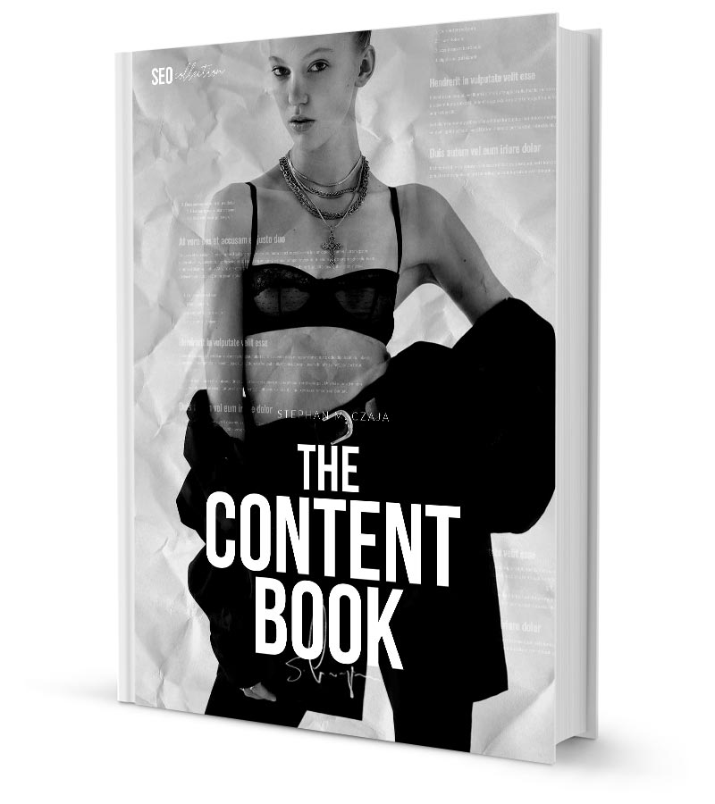 buch-marketing-empfehlung-seo-texte-schreiben-content-anfaenger-hilfe-stephan-czaja-autor-speaker